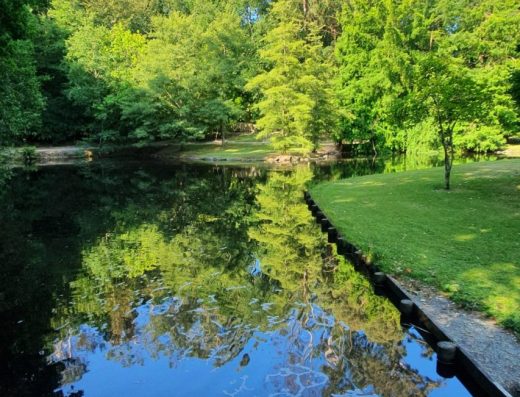 Te Koutu Lake Domain – Cambridge