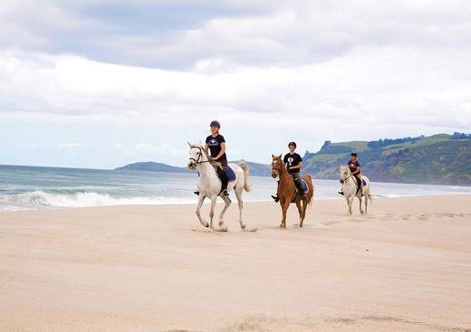 Pakiri Beach Horse Rides – Wellsford (Northland)