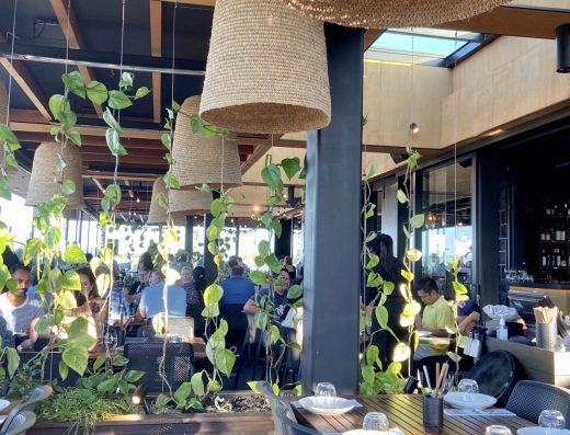 White and Wongs – Newmarket (Auckland)