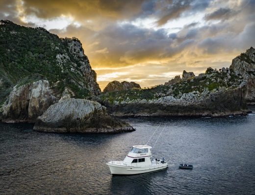 Arataki Dive NZ- Whitianga (Coromandel)