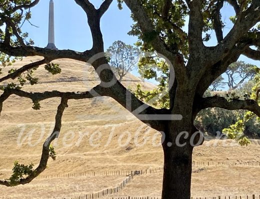 Cornwall Park – Epsom