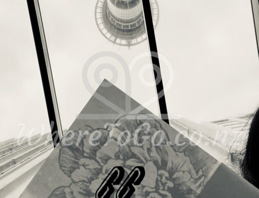 The Glass Goose Bar & Eatery – Auckland CBD