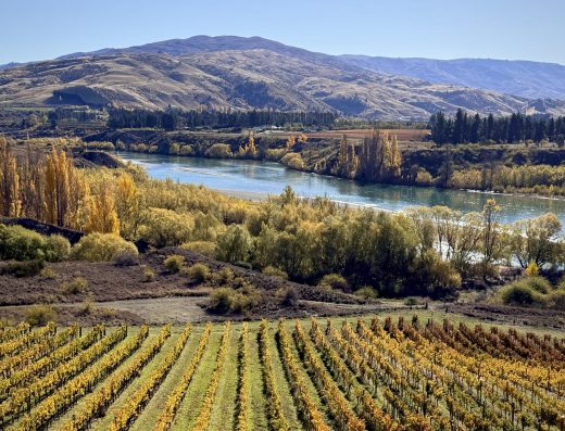 Te Kano Winery Bannockburn – (Otago)