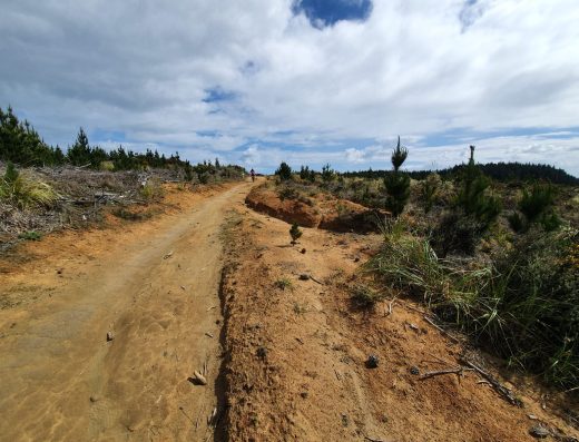 Woodhill Bike Park – Waimauku (North West Auckland)