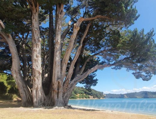 Scott’s Landing – Mahurangi East